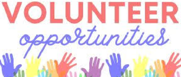 volunteers.ae Opportunity