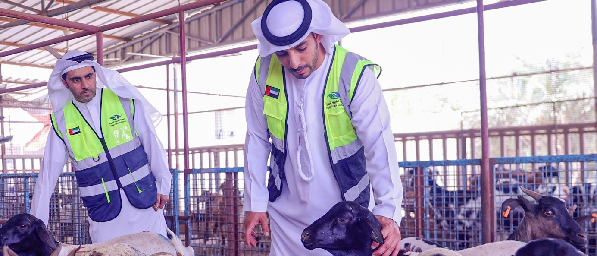 volunteers.ae Opportunity